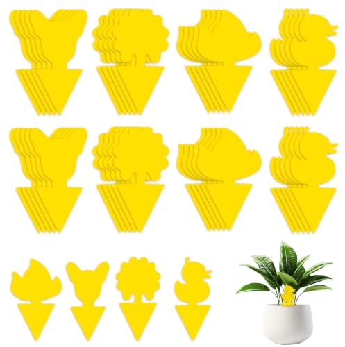 AiQInu 40 Pièges Anti Moucherons Interieur, Attrape Mouche Interieur Jaunes, Anti Pucerons Plantes Exterieur Attrape Mouche Collant pour la Lutte Contre Les Parasites des Plantes D'intérieur