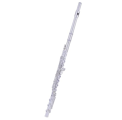 Querflöte Instrument Flöte Weißkupferklappen E-Klappe Geteilte C-Klappe Versilbert 17 Französische Klappen Mit Offenen Löchern