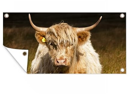 MuchoWow Outdoor-Poster Poster Wanddeko draußen Deko Garten Gartenposter 160x80 cm Schottische Highlander - Licht - Gras - Tiere