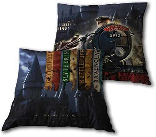 Aymax Hogwarts Express Harry Potter 35 x 35 cm