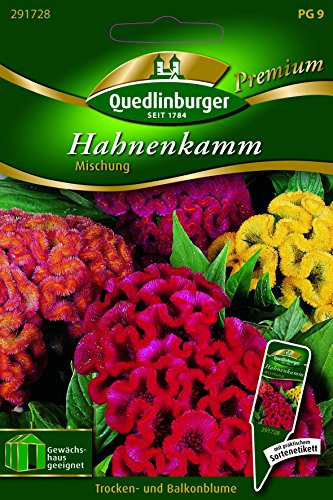 Hahnenkamm Mischung - Celosia cristata QLB Premium Saatgut Blumen einjährig