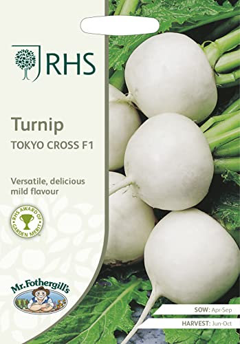 Mr Fothergill's - RHS Turnip Tokyo Cross F1
