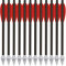 HUNTSPM 6,3 Carbon Armbrust Bolzen Pfeile mit Stahl Jagdspitze für 50 lb / 80lb Pistole Armbrust Präzisionsziel kleine Jagd,Mini Armbrustbolzen Armbrustpfeile Pistolenarmbrust Bolzen (12stk rot)