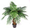 Leaf Design UK Large Artificial Palm Tree, Brown Trunk, 100cm