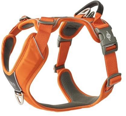DOG Copenhagen Comfort Walk Pro Hundegeschirr, Orange Sun, S