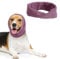 PETWIT Hunde-Ohrenschützer für Lärmschutz, Hundekapuze für Hunde und Katzen, atmungsaktiv, beruhigendes Band für Hunde und Katzen, Kopfwickel mit Angstlinderung (Violett, Mittel)