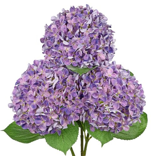 Arborus 3er Künstlich Hortensienzweig 67 cm Künstlicher Stiel mit Blättern Künstliche Blumen Violett Kunstblumen zum Baslteln Dekoblumen für Vase Blumenarrangement Hochzeit Sommer Winter Alltag Deko