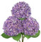 Arborus 3er Künstlich Hortensienzweig 67 cm Künstlicher Stiel mit Blättern Künstliche Blumen Violett Kunstblumen zum Baslteln Dekoblumen für Vase Blumenarrangement Hochzeit Sommer Winter Alltag Deko