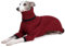 ESCCBOO Italienische Windhundkleidung, warmer Pullover für Whippets, Einteiler für Hunde, zweibeiniger Rollkragen, warmer Pullover für kleine mittelgroße Hunde (Größe XL, Rot)