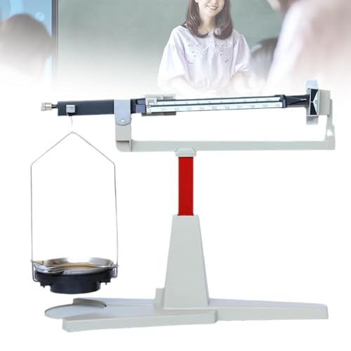 Four-Scale Pan Balance, Laboratory Mechanical Scale, Weighing Range 0.01g-311g, Adjustable Nut, Clearly Marked for School, Laboratory