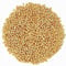 1500Pcs 4mm Gold Spacer Round Beads Smooth Loose Ball Beads for Bracelet Necklace Jewelry Making Craft Supplies
