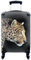 MuchoWow© Koffer Handgepäck Trolley Rollkoffer Kleine Reisekoffer mit 4 Rollen - Leopard - Schwarz - Pelz - Cabin Size < 55x40x23 & 55x40x20 cm - Fotokoffer - Kabinenkoffer - Boardgepäck
