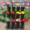 Blumenständer Pflanzen Hocker Pflanzenständer Blumenregal für den Innenbereich, 3-lagig, robustes, bewegliches Pflanzenwagenregal, Blumenständer mit 12 Eimern, Gartenpflanzenständer im Freie
