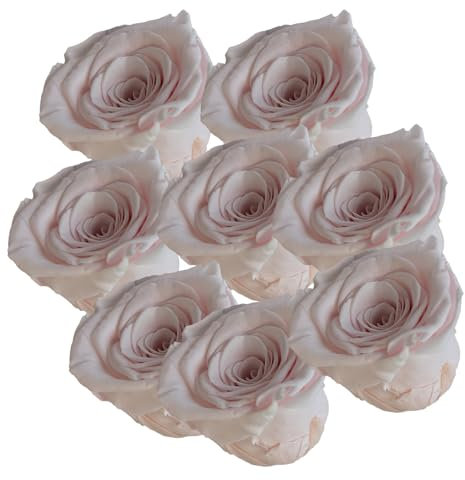your castle Infinity Rosen | Ewige Rose | 8 Stück gefriergetrocknete Rosen in Rosa | Konservierte echte Blumen, die nie verwelken | Deko | Tischdeko