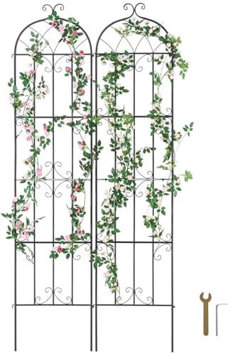 VEVOR Treillis Jardin pour Plantes grimpantes, 51 x 220 cm, Treillis Fleurs de Jardin en métal antirouille, Treillis de rosiers grimpants extérieur, Support de concombres, pour Cours, pelouses, 2 pcs