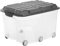 Rotho Roller Aufbewahrungsbox 57l mit Deckel und Rollen, Kunststoff