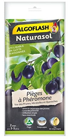 ALGOFLASH NATURASOL Pieges a phéromone Ver des prunes - 2 pieges, Violet