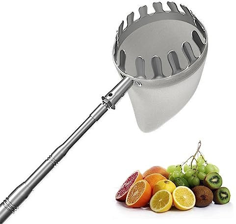 LekLai Raccoglitrice Di Frutta, Strumento per Raccogliere Frutta da 5 M/16,4 Piedi con Asta Di Prolunga in Acciaio Inossidabile, per Mango Pesca Mango Kiwi Limone e Altri Raccoglitori Di Alberi da F