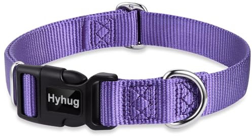 Hyhug entwirft Klassische grundlegende Hundehalsbänder, einfarbiges Nylon, sichere Schnellschnallen, entfernen, und kann Hunde-ID-Tags aufhängen (Kleine, Violett)