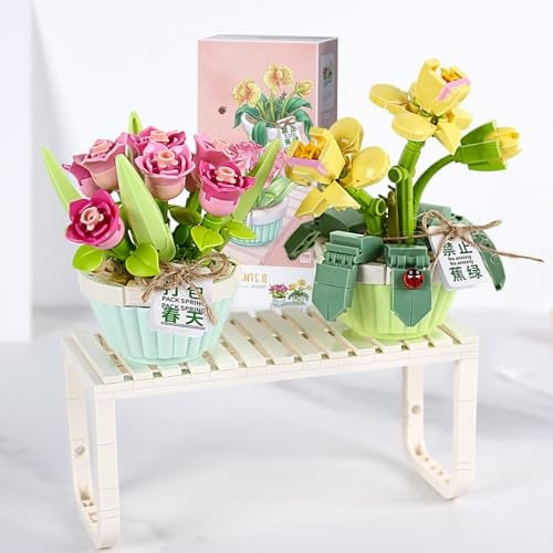 MEIEST Mini Building Blocks Bonsai Plant Model Set,2 in 1 Creative DIY Simulation Particle Flower Succulent Botanical Collection Construction Building Bricks Toy,Home Decor (Spring)