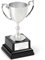 EIO Gifts Personalised Silver Cast Recognition Cup Trophy/Award, with Custom Engraving Ideal for Ceremonies or Competitions. - 7 Sizes To Choose From (7 1/8” (181mm))