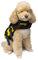 Cressi Dog Life Jacket, Giubbotto Salvagente Per Cani, Giubbotto Di Salvataggio Per Cani, Gilet Salvagente Per Cane, Giubbotto Di Sicurezza Galleggiante Per Cani, Giubbotto Galleggiante Per Cane