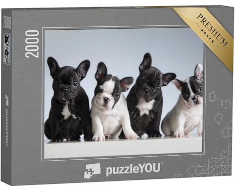 puzzleYOU: Puzzle 2000 Teile „Vier französische Bulldoggen“ – aus der Puzzle-Kollektion Buldogge