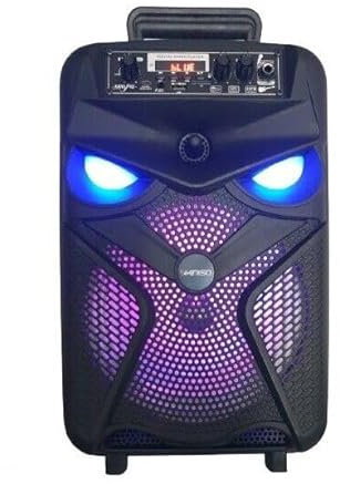 Altoparlante Bluetooth Portatile 1000W – Cassa Wireless con USB e Microfono, Audio Potente e Versatile