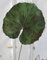 artplants.de Kunst Geranien Blatt HEIDEGARD, grün-rot, 38cm, Ø13cm - Künstliche Geranie