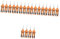 OSALADI Trim Bin 2 Sätze Gartenschere Handschere Ausziehbare Baumschere Gartenschneider Pflanzenschere Verbandsschere Trimmer Für Knospenblätter Blumenschneider Edelstahl Orange 4 Stück * 2