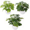 FOREST PRINCE 3 Pezzi Pianta Finta Da Interno in Vaso, Piccolo Piante Artificiali in Plastica per Decorativo Soggiorno Camera da Letto Cucina Bagno Interno Deco