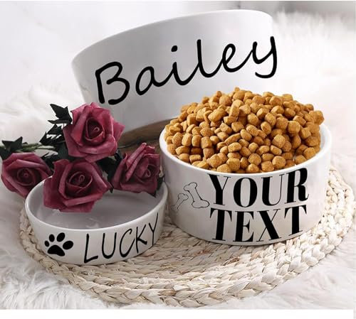 Cuenco personalizado para dueños de mascotas, regalos personalizables, nombre de tu mascota, cuencos personalizados para perro, gato, cachorro o gatito, plato para comida seca húmeda o agua (pequeño)