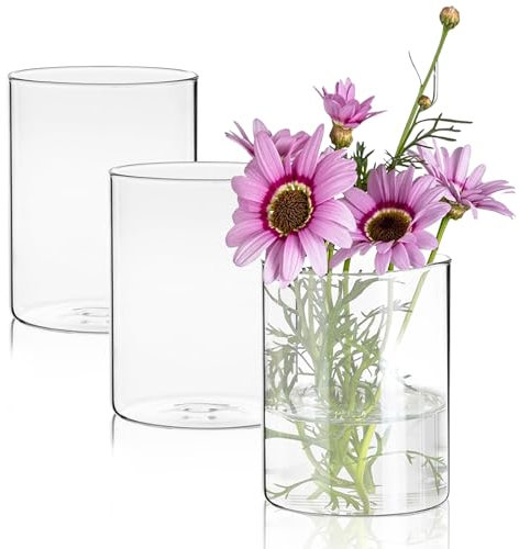 WIYETY 3 Stück Zylinder Glasvase: Minimalistische Dekovasen, Modern Blumen Vasen Set, Klar Glas Glasvase für Tischdeko Wohnzimmer Schlafzimmer Hochzeit Geburtstag Bad