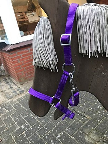 Swiss Horse Nylon Halfter zweifach verstellbar,lila, Fohlen