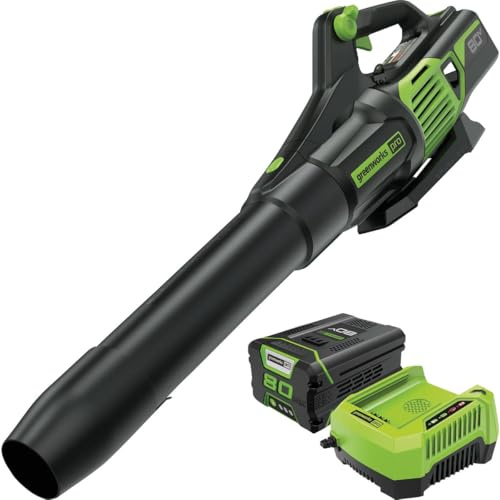Greenworks 2424402VT Axialer Hand-Laubbläser, 80 V, 730 CFM