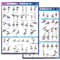 2-Pack Gym Posters Set – Dumbbell Workout Charts (16x24) – Home Gym Decor, Exercise Guide for Men & Women