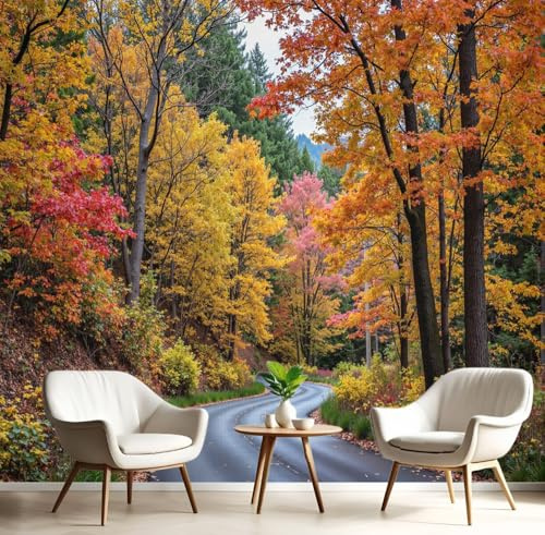 NAWVNMI Papier Peint Panoramique 3D, Automne Forêt - Autocollant Mural pour Salon Chambre À Coucher Couloir, Route Sinueuse Poster Geant Murale 200 x 140cm