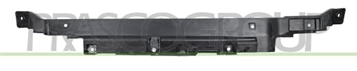 PRASCO DW3403201 Schlossträger Frontverkleidung Kompatibel mit CHEVROLET SPARK M300
