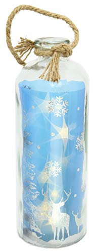 Carousel Home and Gifts Light Up LED Blue Silver Reindeer Bottle Glass Jar Christmas Lantern Decoration