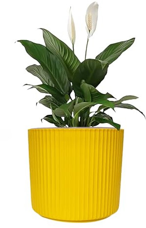 Sutars 15CM Yellow Self-Watering Plastic Flower Pot with Drainage – Decorative Planter for Indoor and Outdoor Plants and Flowers