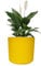 Sutars 15CM Yellow Self-Watering Plastic Flower Pot with Drainage – Decorative Planter for Indoor and Outdoor Plants and Flowers