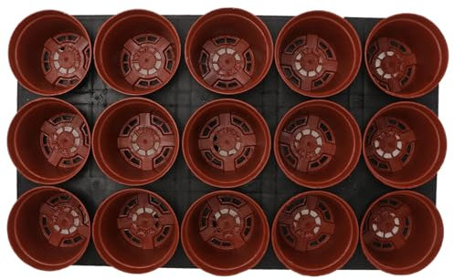 POPETPOP 1 Satz Wachsende Sämlingsschale saftig Stand Schwanenhals Anlage System zimmerpflanzen blumenbank verandina behälter Phyto Pflanztopf für den Garten Kinderzimmer Tasse Plastik