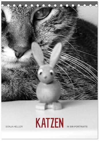 Sonja Heller Katzen in SW-Portraits (Tischkalender 2026 DIN A5 hoch), CALVENDO Monatskalender: Katzen - festgehalten in SW-Fotografien (CALVENDO Tiere)