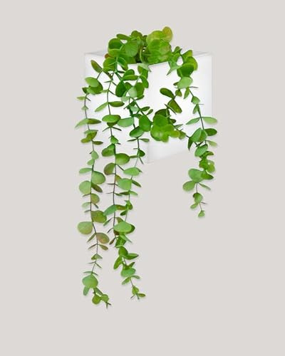 Garden Center Shop | New Garden | Macetero Cuadrado | Macetero de Pared | Blanco | Wally Pot | 12x12x12CM | Ideal para terrazas y Jardines | Espacios Exteriores