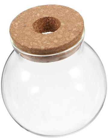 LOORGVEL Glaspflanzenterrarium und Platzsparendes Design Hohe Transparenz mit Korkdeckel Rundes Glasgefäß aus Glas und Holz für Sukkulenten und Farne im Büro dem Schreibtisch