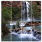 Bilderwelten Schiebegardinen Nationalpark - 4 Flächenvorhänge Ohne Aufhängung, 4X 250 x 60cm