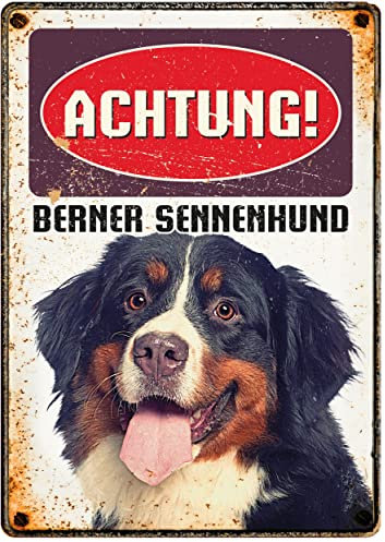 Plenty Gifts Metallschild Vintage Achtung Berner Sennenhund
