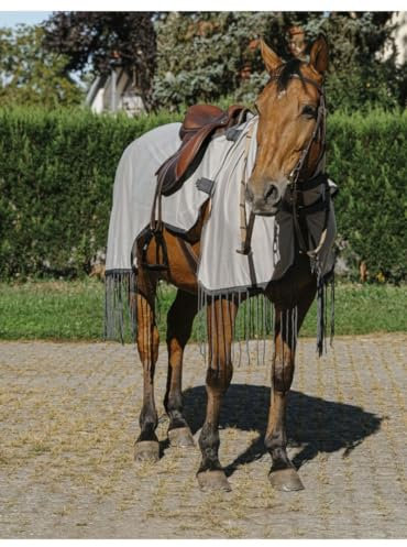 Ekkia Riding World Fliegenschutz-Ausreitdecke grau, QHP17_Gr.:150cm