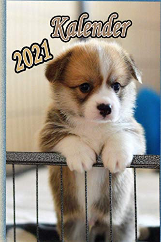 Kalender 2021: Buch Kalender / Terminkalender 2021 zum Planen, Organisieren und Notieren.