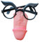 Penis Nase mit Brille | Maske für Junggesellenabschied | lustige Penismaske | Junggesellinnenabschied | Braut Deko Penisform | Bräutigam | Willy lustig | Partymaske | Karneval | Fasching | Rosenmontag
